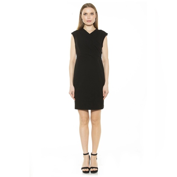 Alexia Admor Dresses & Skirts - Alexia Admor Black Mini Surplus V-Neck Dress Size M